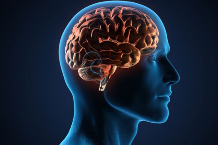 Dangerous facts of a Brain Aneurysm