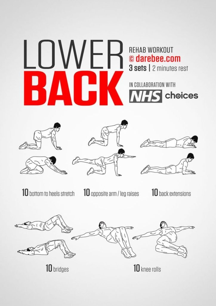 lower-back-excercises