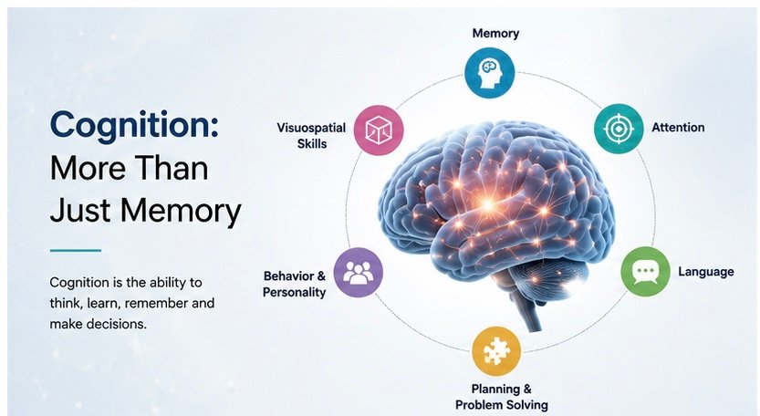 Different cognitive functions including memory attention language and problem solving